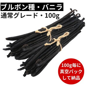 y2Nԕۑ\I100gɐ^pbNzojr[Y yu{z y100gz yʏO[h 13-17cmz ojr[Yy[Xg ojGbZX ojy[Xg oj Ɩp yV X[