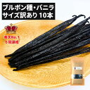 【★本数が多い商品ほど1本価格がお得！】バニラビーンズ 【ブルボン種】【10本】【サイズだけ訳あり・11-14cm】 バニ…