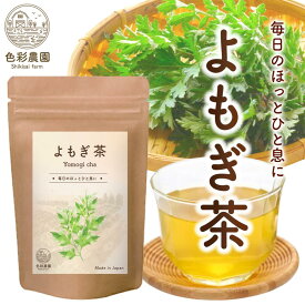 よもぎ茶 国産 3g×30包 ティーバッグ ノンカフェイン ヨモギ お茶 蓬 美容 健康 健康茶 送料無料