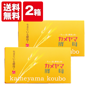 【送料無料】亀山堂　カメヤマ酵母(30包) 2箱　酵母菌ダイエット！