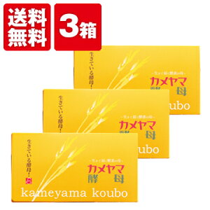 yzTR@J}y(30) 3Zbgyzyf y _CGbg Tvg  yTRuhK̔Xz