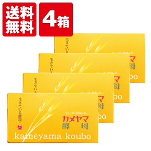 yzTR@J}y(30) 4Zbgyzyf y _CGbg Tvg  yTRuhK̔Xz