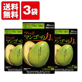 亀山堂 ワイルドマンゴーの力A 60粒 エラグ酸サプリメント アフリカマンゴノキ ブラックジンジャーでダイエットライフをサポート (3袋セット)
