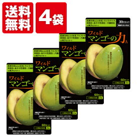 亀山堂 ワイルドマンゴーの力A 60粒 エラグ酸サプリメント アフリカマンゴノキ ブラックジンジャーでダイエットライフをサポート (4袋セット)