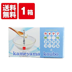 yzTR@J}yꃈ[Ogi30jyzyf y _CGbg Tvg  yTRuhK̔Xz