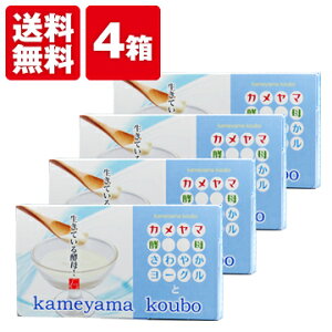 yzTR@J}yꃈ[Ogi30j 4Zbgyzyf y _CGbg Tvg  yTRuhK̔Xz