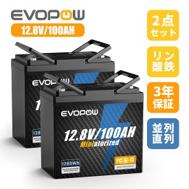 2個セット リン酸鉄リチウムイオンバッテリー 12.8V 100Ah 走行充電器 LiFePO4電池 内蔵100AのBMS 長寿命4000サイクル回数 コンパクト蓄電池 直列並列 キャンピングカー 車中泊 アマチュア無線 防災 停電 熱中症対策 ソーラー充電