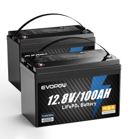 リン酸鉄リチウムイオンバッテリー 12.8V 100Ah 容量1280Wh LiFePO4電池 走行充電器 内蔵100AのBMS 長寿命4000サイクル回数 コンパクト蓄電池 直列並列 キャンピングカー 車中泊 アマチュア無線 防災 停電 熱中症対策 ソーラー充電