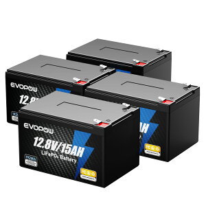 �����_�S���`�E���C�I���o�b�e���[ 15Ah 12.8V �e��192Wh ���^ LiFePO4�d�r ���s�[�d�� BMS ������3000�T�C�N���� �R���p�N�g�~�d�r �h�� �L�����s���O�J�[ �Ԓ��� �A�}�`���A���� �h�� ��d �\�[