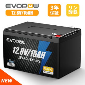リン酸鉄リチウムイオンバッテリー 15Ah 12.8V 容量192Wh 小型 LiFePO4電池 走行充電器 BMS 長寿命3000サイクル回数 コンパクト蓄電池 防水 キャンピングカー 車中泊 アマチュア無線 防災 停電 ソーラー充電 お釣り