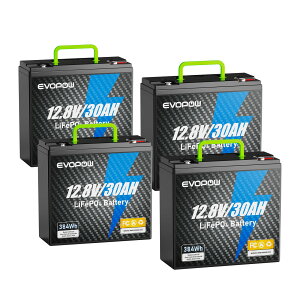 �����_�S���`�E���C�I���o�b�e���[ 12.8V 30Ah �e��384Wh LiFePO4�d�r ���s�[�d�� BMS ������3000�T�C�N���� �R���p�N�g�~�d�r �L�����s���O�J�[ �Ԓ��� �A�}�`���A���� �h�� ��d ���ނ� �\�[���[