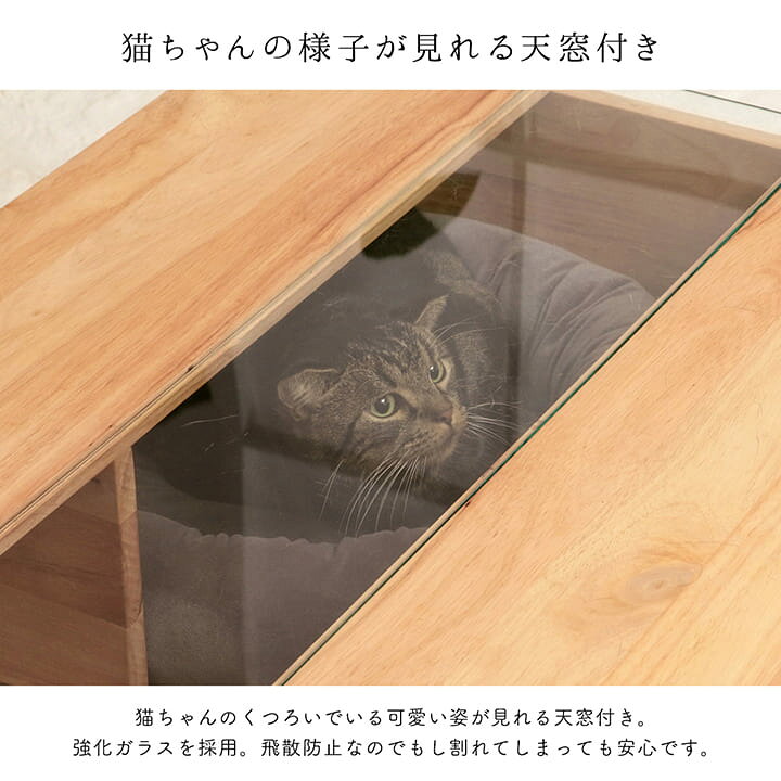 楽天市場】[最大10%OFFクーポン☆4/14 20:00-23:59] 猫愛好家が作った 