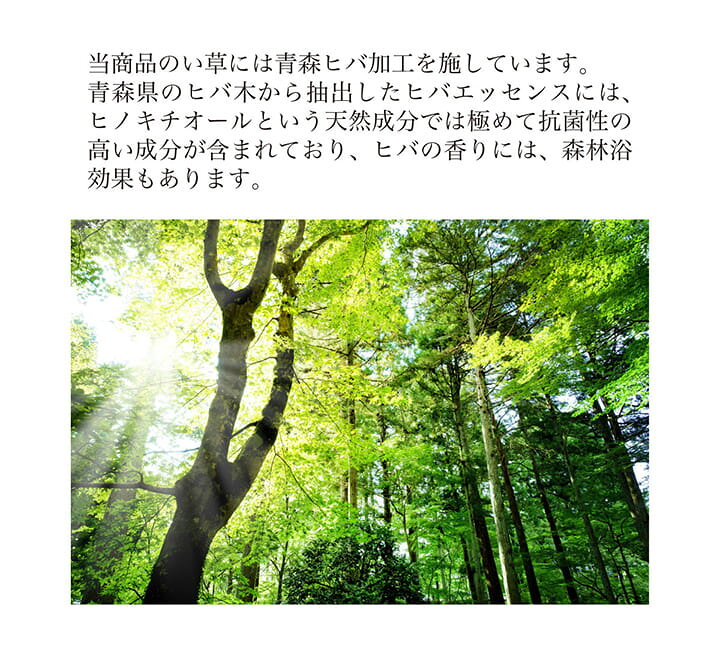 楽天市場】い草 掘りごたつ用 カーペット 裏付き フローリング用 「 DX 