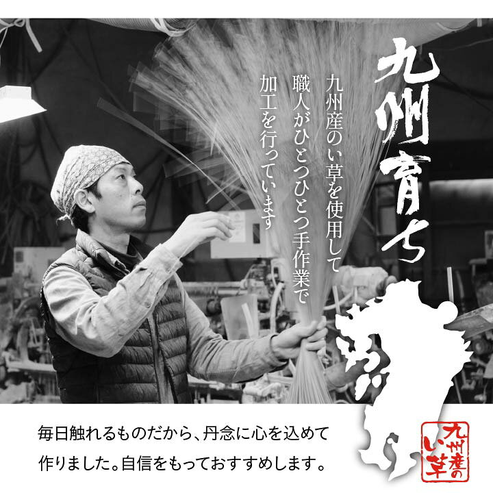 楽天市場】座布団 セット い草 座布団 日本製「 五風 5枚組 」約55 