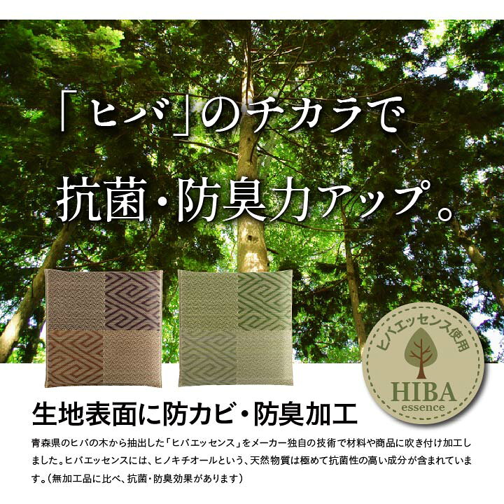 楽天市場】座布団 セット い草 座布団 日本製「 五風 5枚組 」約55 