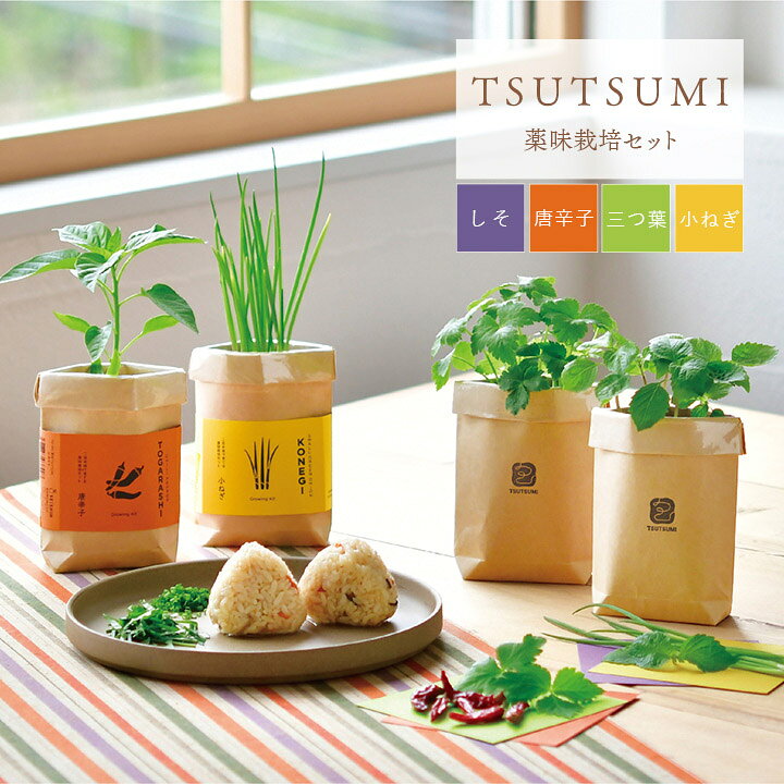 楽天市場】栽培キット 野菜 TSUTSUMI しそ 唐辛子 三つ葉 小ねぎ 米袋 
