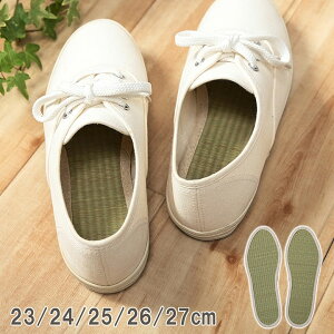 yő20%OFFN[|12/4 20`zy  C\[ L u ݂炢 C\[ v 23cm/24cm/25cm/26cm/27cm irucicoV[Y u[c vC Xj[J[ fB[X Y pvX M L TXe