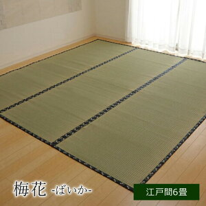  6  ~ Y Jo[u ~ v]ˊ6 (261×352cm)  SU J[ybg ~l ~  t H~ ̏ɕ~ h~ Ăh~ O COT ~