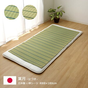 [11/1聚5%ItN[|] Q Y V[c  CPqR ~pbh ėp VO {  V[cu t v 88×180cm  V[c Q  V[g  pbh L R