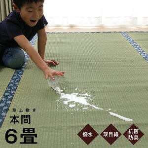  6   ~ Y Jo[ u ܂ v {6 (286.5×382cm)  SU J[ybg ~l ~  t H~ ̏ɕ~ h~ Ăh~ O CO