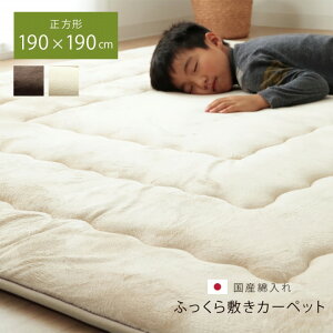 40mm~zc ӂ~ `u tB[ v 190×190cm x[W uE ɌO OJ[ybg  ` ӂ烉O ~zc h  IV