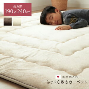 40mm~zc ӂ~ `u tB[ v 190×240cm x[W uE ɌO OJ[ybg  ` ӂ烉O ~zc h  IV