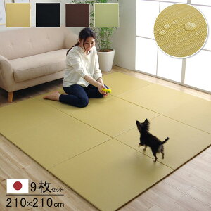 yȃN[|zzz u jbg u g 70x70cm v 9g { ` t[O ybg ɂ ϋv NbV |vs PP ~ t y 