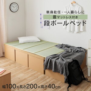 xbh VO i{[xbh ȈՃxbh u i{[xbh v 100×200×40cm xbh }bgX オ PgC ] l炵 qp y xbg x` TCN [