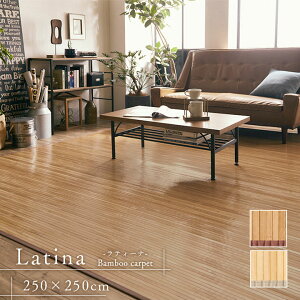 | O Ђ  J[ybg 4.5 ڐG⊴u eB[i v250×250cm ou[ O}bg ` Z^[O  rO _CjOO a m a i` VRf 