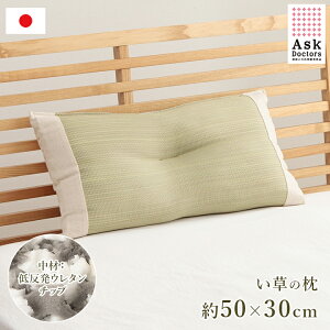 ySi|CgUP11/30z  {  Iׂ钆  30×50 u AXNhN^[Y ڂݕ v 50×30cm  ܂ s[ ᔽ pCv   Y C 炳 