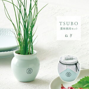 青磁 壺の人気商品・通販・価格比較 - 価格.com