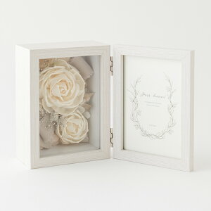 ̓ a v[g Mtg t[ Mtg tHgt[ u \t[ gXyAg v ʐ^ ̓ v[g hV̓ TNXMtg 蕨 LO  