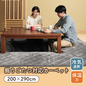 @育 ~zc  ~zc x @育 R^c ~zc J[ybg 􂦂 u HfBO v 200×200cm 200×240cm 200×290cm ؂荞݃^Cv CՒf ۉ H~ tl g