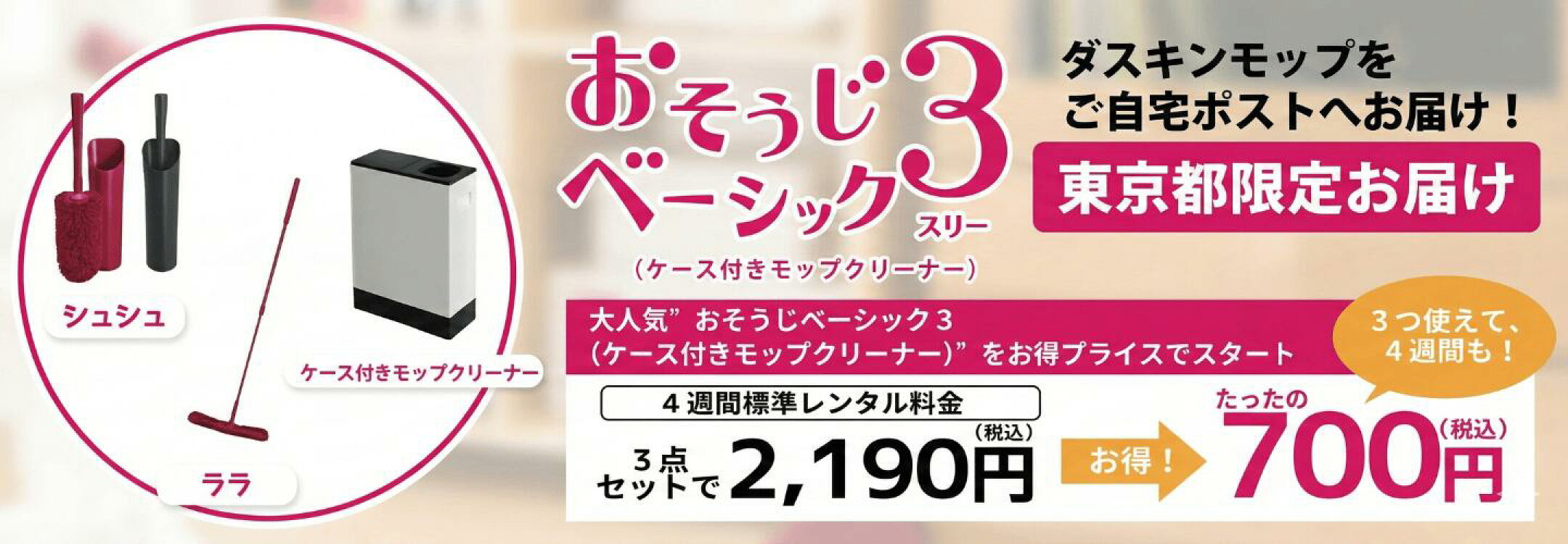 おそうじベーシック3ケース付きクリーナー