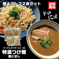 つけ麺 パーフェクトラーメン【S】特濃つけ麺 極にぼし 2食セット 麺とスープ つけ汁多め 煮干し好きの方…
