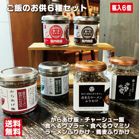 ご飯のお供6種セット からあげ飯 チャーシュー飯 食べるウマラー 食べるウマミソセット 喜多方ラーメンふりかけ 会津の蕎麦ふりかけ 瓶詰めおかず ギフト プレゼント お取り寄せ