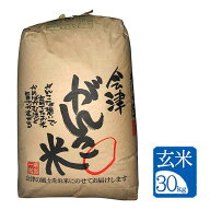 ＼新米／ 【30kg（紙袋) 玄米】令和8年産"会津がんこ米"（会津産 コシヒカリ 特別栽培米）石抜 色彩選別 …
