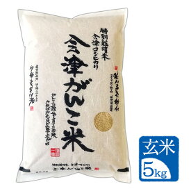 ＼生活応援セール／ 【5kg 玄米】令和7年産"会津がんこ米"（会津産 コシヒカリ 特別栽培米）石抜 色彩選別「送料無料（一部地域を除く）」「福島県産」「産地直送」「ブランド米」