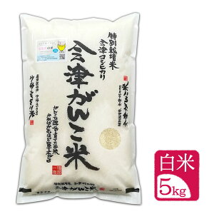 新米【5kg 白米】令和7年産"会津がんこ米"(会津産 コシヒカリ 特別栽培米)「送料無料(一部地域を除く)」「福島県産」「産地直送」「ブランド米」