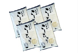 令和7年産 会津産 コシヒカリ 10kg（2kg×5袋）or (10kg 1袋） 10kg×1袋生活応援セール中！ こしひかり 会津美里町産 レビュークーポン200円OFF 軽洗米 精米 白米 お米 米 送料無料 沖縄離島は別途送料　2kg×5袋は定期購入あり