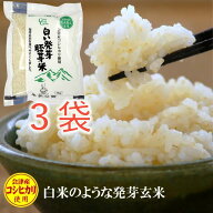食べやすい発芽玄米 白い発芽胚芽米3kg 【レビューで200円クーポンプレゼント】 1kg×3 送料無料 沖縄離…