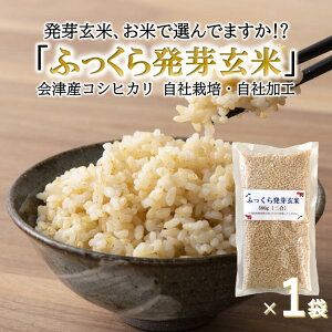食べやすい発芽玄米 ふっくら発芽玄米二合パック レビューで200円クーポン300g コシヒカリ お試し特価 無洗米 会津産 GABA ギャバ 白米モードで炊ける 送料無料 保存食 非常食 健康 ポイント消
