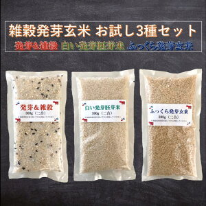 聕G  ӂ甭茺 2pbNe1 3Zbgyr[200~N[|v[gz300g×3 RVqJ ÎY 100%  G 茺  ۑH 