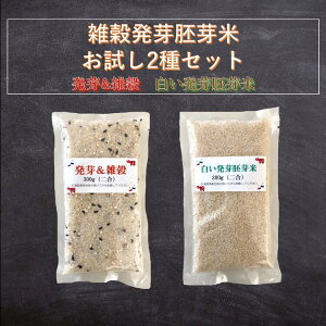 &G  2pbNe1 2Zbgyr[200~N[|v[gz300g×2 RVqJ  ÎY 100%  茺 G  ۑH H 