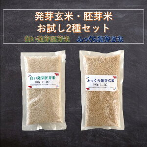  ӂ甭茺 2pbNe1 2Zbgyr[200~N[|v[gz300g×2 RVqJ  ÎY 100%  茺  ۑH H 