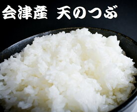 福島県 会津産 100％　令和7年産 天のつぶ玄米20kg（包装：紙袋）　※精米無料　※白米18kg 産地直送