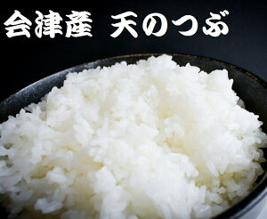  ÎY 100@ߘa7NY V̂Ԍ20kgiF܁j@Ė@18kg Yn