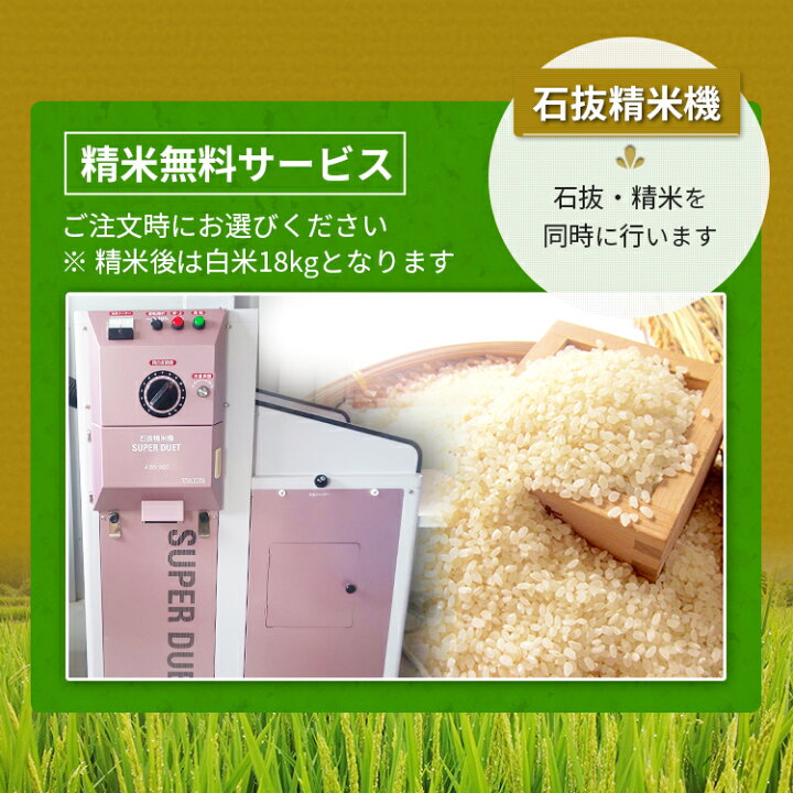 楽天市場】福島県 会津産 100％ 令和7年産 コシヒカリ玄米20kg（包装 