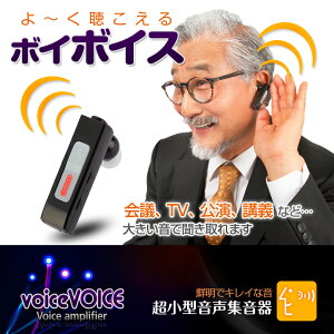 ^W voiceVOICEi{C{CXj 4ʂ̉ш撲 10iKʒ߁@hV̓ Mtg pI  v[g VjA CX Cz^ USB[d ^ ڗȂ  