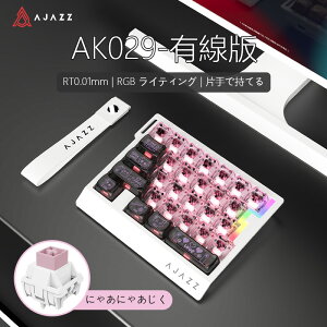 AJAZZ���� AK029 �Ў�Q�[�~���O�L�[�{�[�h ���J�j�J�� ���s�b�g�g���K�[ 29�L�[�z�� �S�i���C�� �L���ڑ� 8000Hz�|�[�����O���[�g 0.01mm RT���x 0.125ms����x�� �A���~�j�E�������v���[�g 5�w����